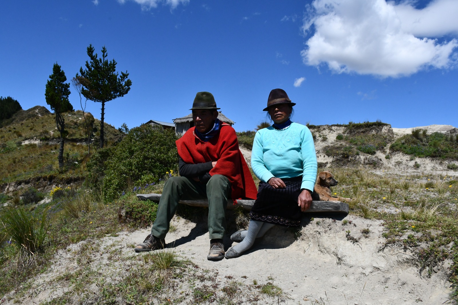 Imagen de WhatsApp 2024-08-21 a las 12.29.14_8b837084