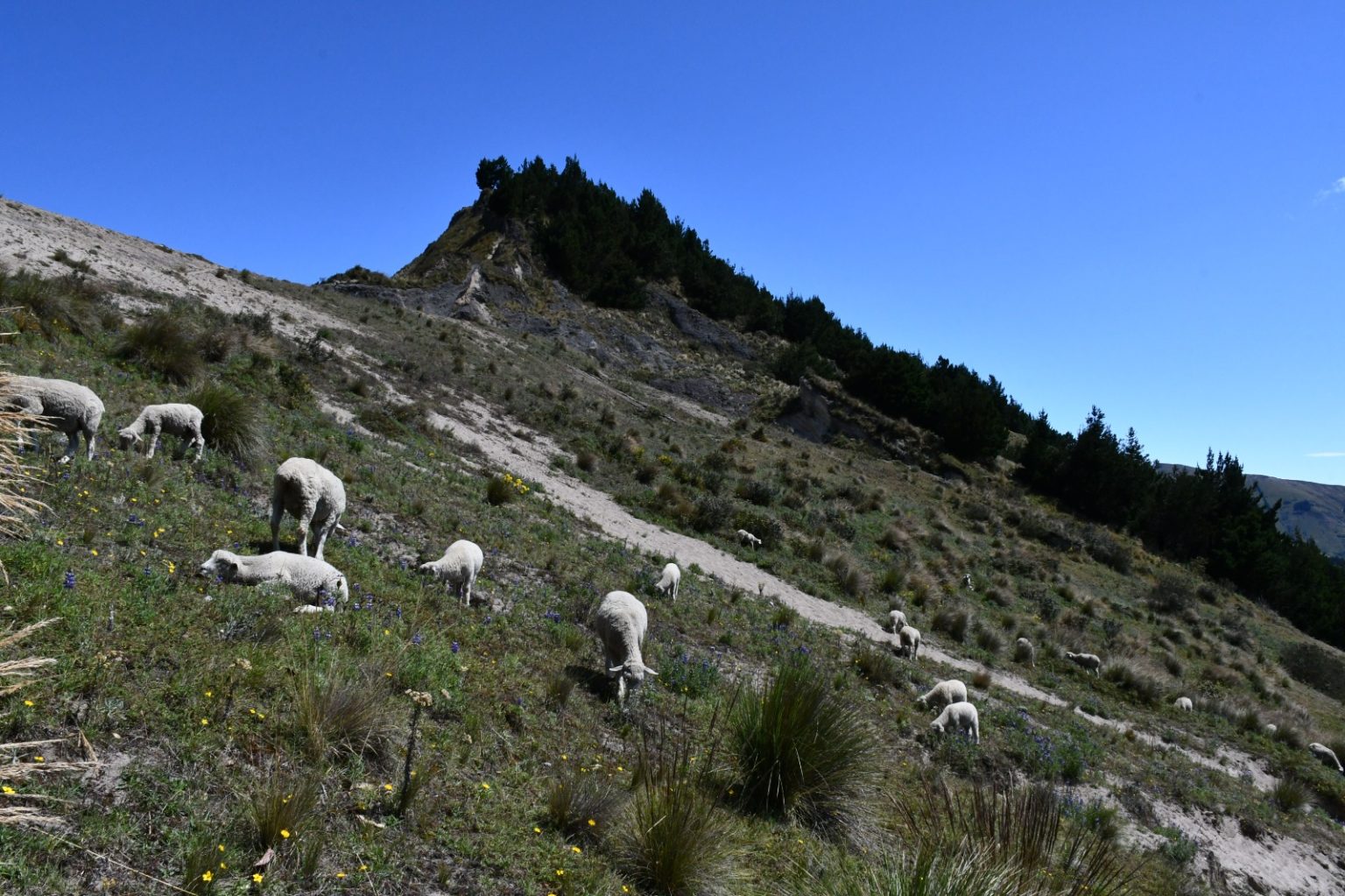 Imagen de WhatsApp 2024-08-21 a las 12.28.43_e83bd9ef